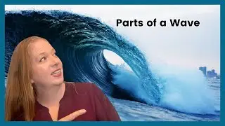 parts of a wave: longitudinal and transverse
