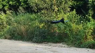 INNLOI DIY VTOL 2