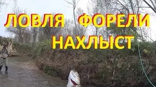 Форель.  Ловля ручьевой форели.