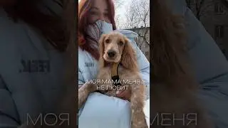 Мама меня не любит 🐕