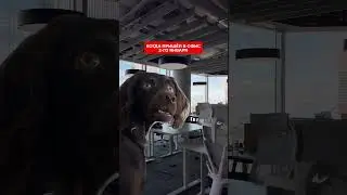 ..........  