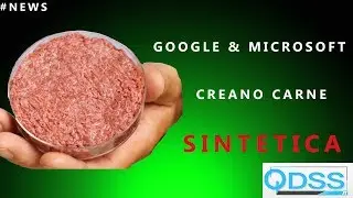 #News QDSS.it: Google & Microsoft creano carne sintetica