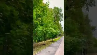 Весна также не плохо 🌲🍀☘️