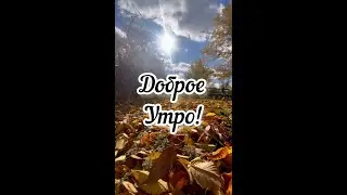 Доброе утро! Олег Газманов. Вот и лето прошло 