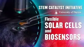 Flexible Solar Cells and Biosensors