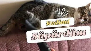 KEDİMİ SÜPÜRGE İLE SÜPÜRDÜM / TABİİ Kİ DÜŞÜK EMİŞ GÜCÜ :)
