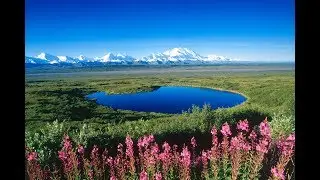 На просторах Аляски 1992