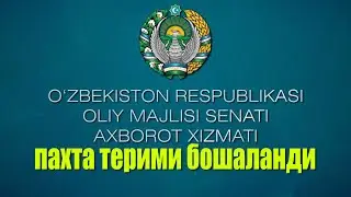 Сирдарё вилоятида пахта терими ҳолати бўйича ўрганишлари