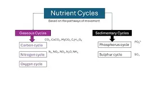 Material cycle | Nutrient cycle | Biogeochemical cycle | Nutrient cycle in ecosystem |