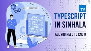 TypeScript - Learn in Sinhala | Collection Types | PART 3