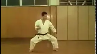 kata GEKISAI DAI NI karate goju ryu