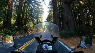 Los Angeles to Santa Cruz to Los Angeles - Timelapse