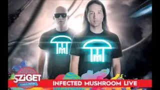 Infected Mushroom - Kipod (Riot Remix) @Live from Sziget Festival 2015 [HQ Audio]