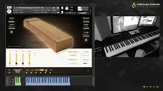 The Musicmakers Library Vol.1 - Monochords and Shruti Box