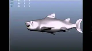My Edited Video