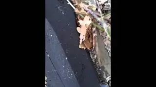 лайфхаки для выживания