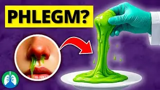 What is Phlegm? | Medical Definition