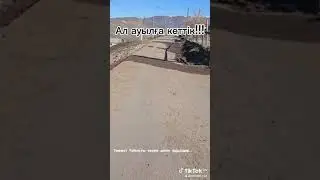 15 апреля 2024 г.