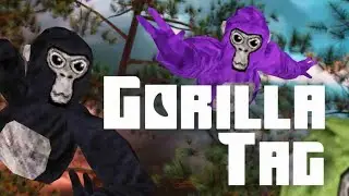 GORILLA TAG ( fit and modder sighting )