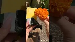 Это лучшая мультиварка, я в ней готовлю все, маленькая и очень удобная