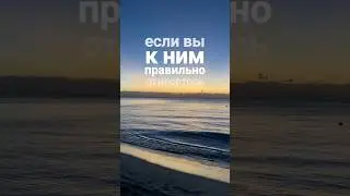 ✨ Как стать сильнее, мудрее, духовнее? 