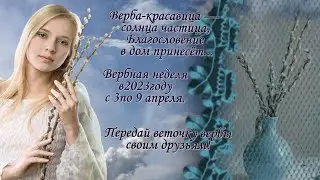 Вербная неделя.Передай веточку вербы своим друзьям.Когда в 2023 году Вербное воскресенье.