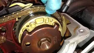 N46n chain e81