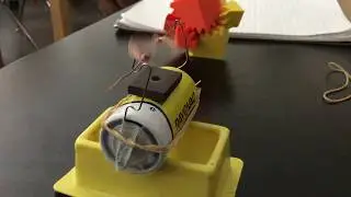 Electric Motors 2019