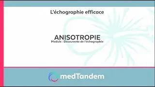 Anisotropie | Découverte de l'échographie en médecine générale