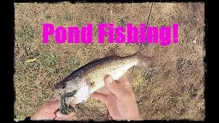 Fishing a Pond With My Good Buddy Rolland