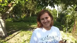 Огурцы собираем, помидоры поспевают. Июль 2020. Венгрия