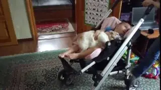 Спим в коляске