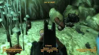 Fallout New Vegas skeleton