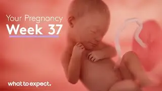 37 Weeks Pregnant - What to Expect