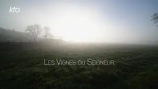 Les Vignes du Seigneur