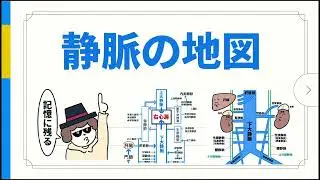 【有料教材】静脈の地図の紹介動画