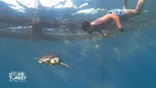 Dekamer - İztuzu - Kaptan June - Deniz Kaplumbağaları / Captain June - Caretta Caretta