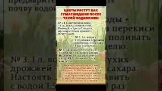 25 июня 2023 г.