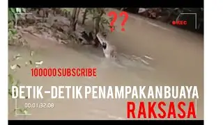 Detik-detik Penampakan Buaya Raksasa Penunggu Sungai Asli || Warga Ketakutan
