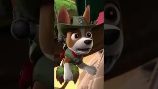 小克穿過叢林來救援！- #PAWPatrol #Shorts 兒童卡通