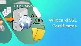 5 Different Types of SSL Certificates For Your Website - 2022