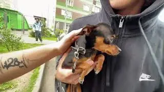 ПАРАДЕЕВИЧ ИЗМЕНИЛ ПЕТРОВИЧУ