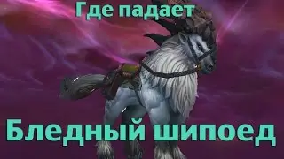 Как получить или Где падает Бледный шипоед