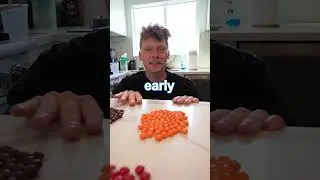What is the Most COMMON Color of Skittles!