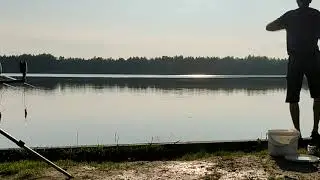 Поклевка карпа. КАК КЛЮЕТ КАРП. Рыбалка на спортивном водоеме