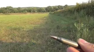 Saiga Mk-03 223rem and Shch1-6x24BM sight at 300m