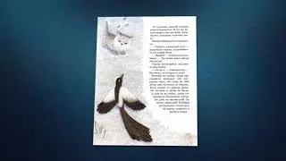 Зимняя сказка