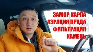 Замор Карпа. Аэрация пруда. Фильтрация пруда. Выбор камня для укрепления берегов пруда.
