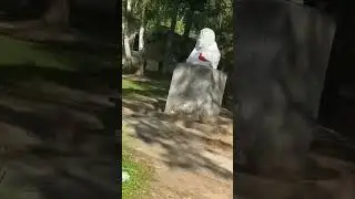 Обзор на лагерь «Огонёк, ивановская областьIMG 0682