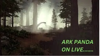 Panda on ARK  